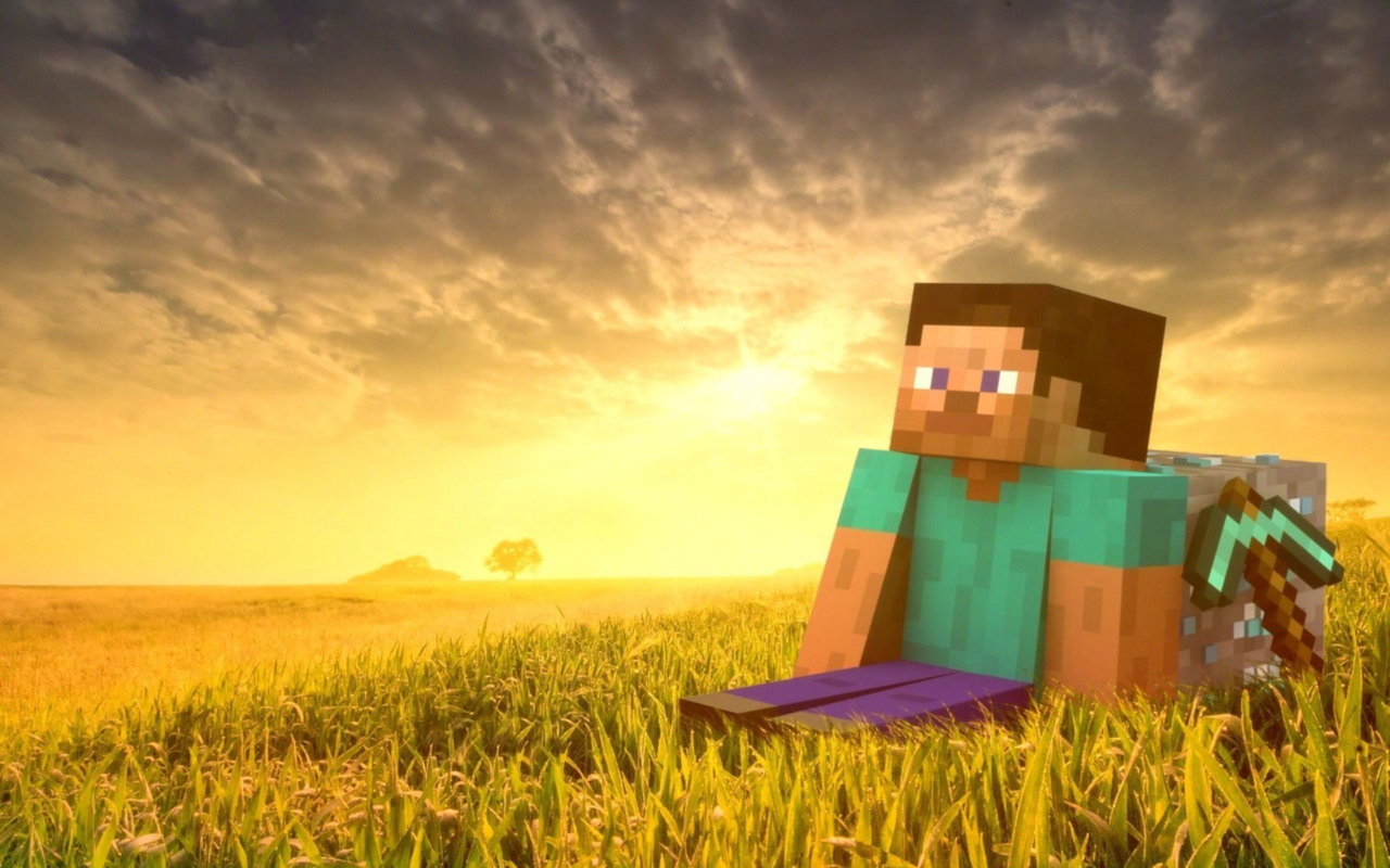 Minecraft Steve sitting in a field